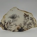 Owner of <a href='https://www.etsy.com/dk-en/shop/lapidarytreasures?ref=l2-about-shopname&from_page=listing' class='wt-text-link'>lapidarytreasures</a>