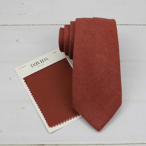 May include: A rust-coloured tie with a textured finish. The tie is displayed with a fabric swatch labelled "Cinnamon" and "David's Bridal".
