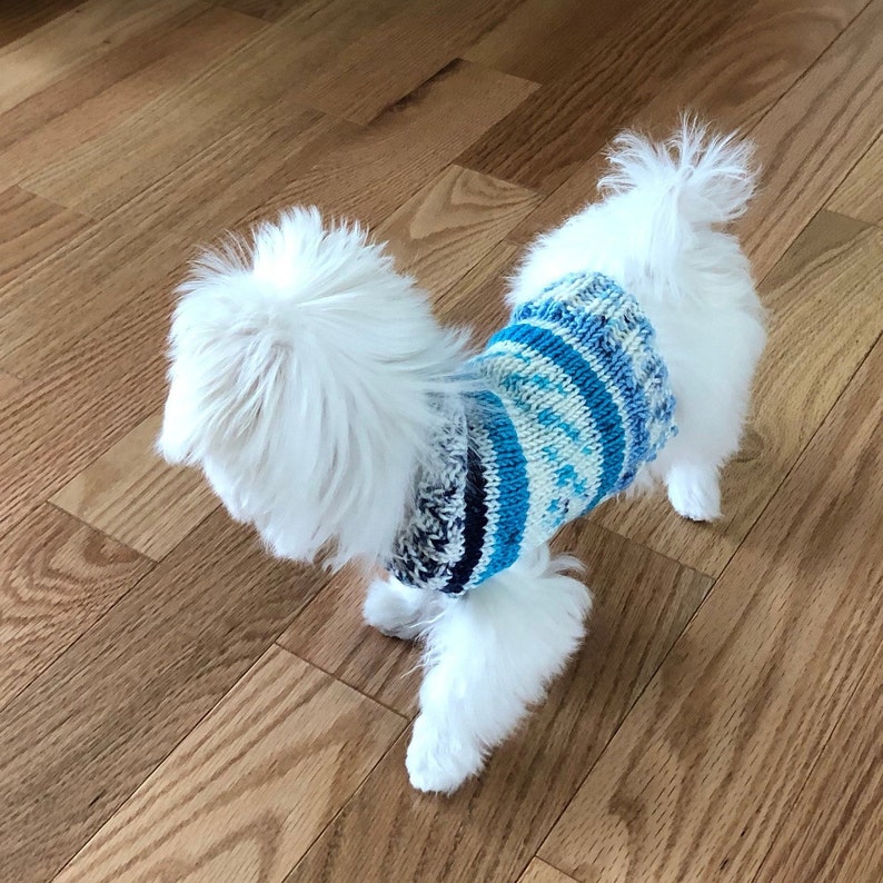 chiweenie dog sweaters