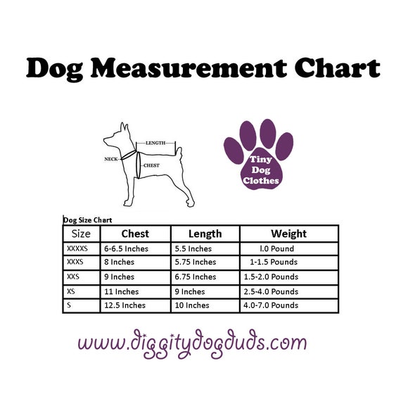 Teacup Chihuahua Size Chart