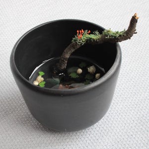Puede incluir: Un cuenco de cerámica negro con agua, una pequeña rama y plantas en miniatura. La rama, adornada con musgo verde y detalles rojos, se extiende desde el cuenco. El agua contiene pequeños elementos blancos y verdes.