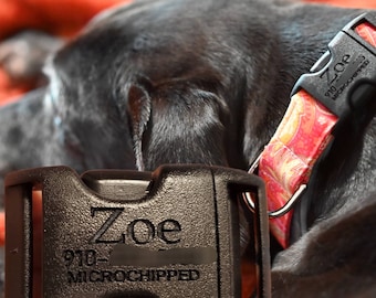 Engraved Buckle Add On for Dog Collars - Please read details for limits