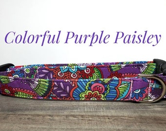 Colorful Purple Paisley - Puppy - Custom - Embroidered - Unique & Beautiful Personalized - Monogrammed