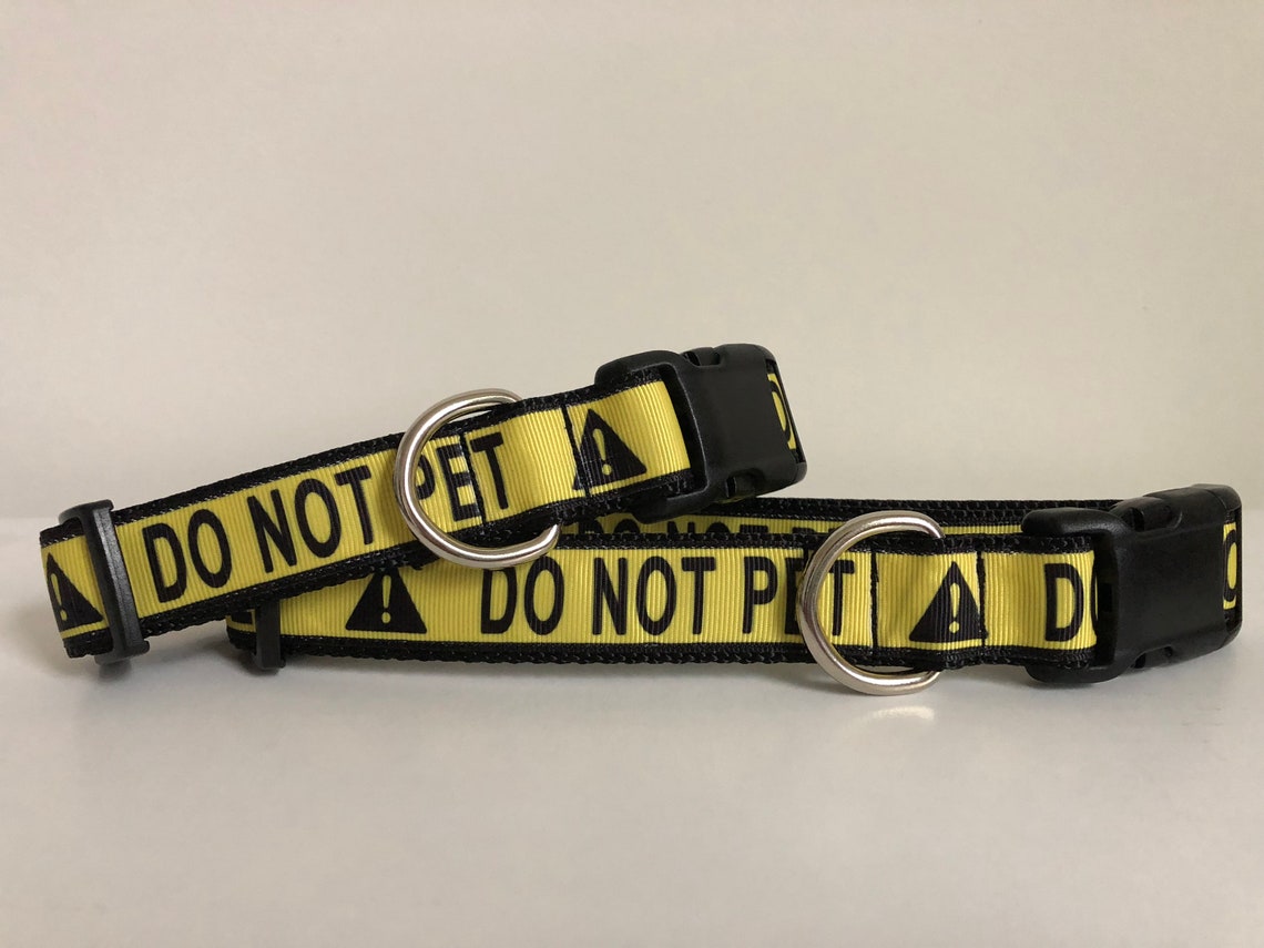 Do Not Pet 1 Inch Dog Collar Etsy