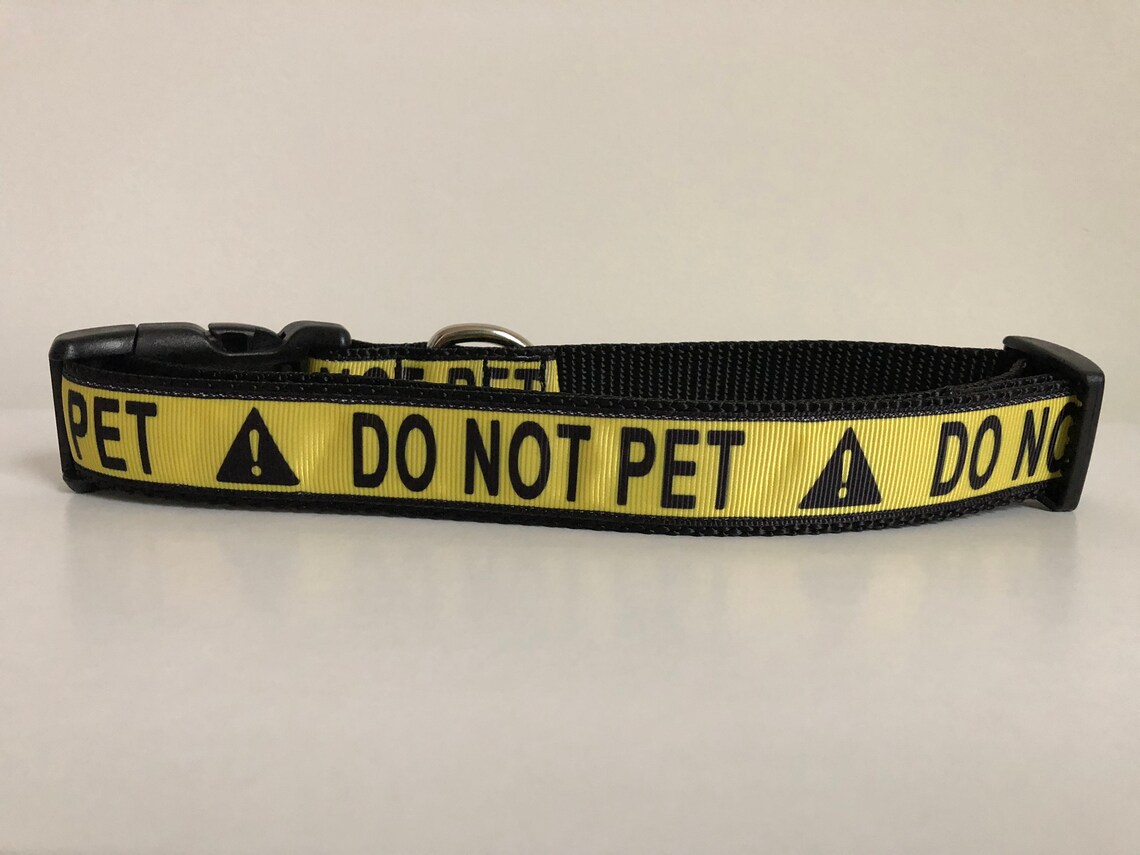 Do Not Pet 1 Inch Dog Collar Etsy