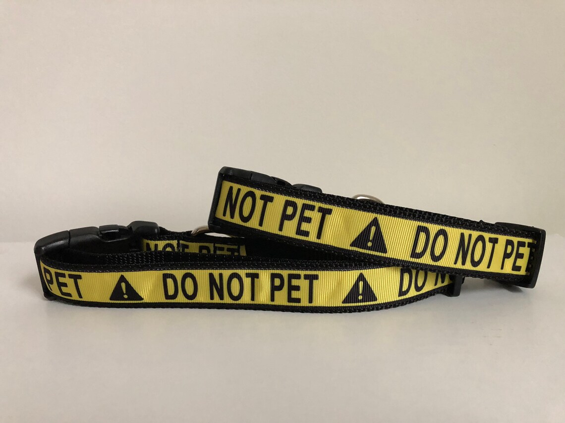 Do Not Pet 1 Inch Dog Collar Etsy