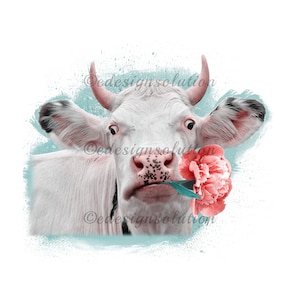 Cow PNG, Heifer PNG, White Cow and Flower Farm Animal Clipart Sublimation Design  Instant Download