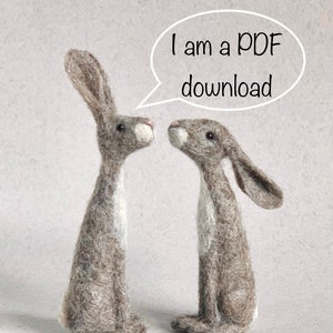 Needle Felted Hare  ‘PDF’ Instructions - this is NOT a kit