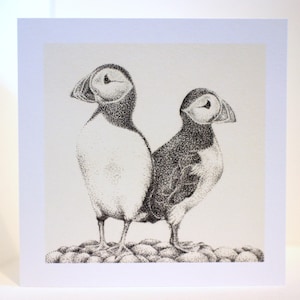 Puffin Card, British Birds, Greeting Card, card for her, card for him, Birthday,  Thinking of you, vintage, quirky, pen drawing