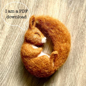 May include: A handcrafted, sleeping squirrel figurine made of brown wool. The squirrel is curled up with its tail wrapped around its body. The text "I am a PDF download" is in a speech bubble.