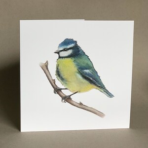 Carte mésange bleue, oiseaux britanniques, mésange bleue, carte de voeux, carte pour elle, carte pour lui, anniversaire, Je pense à vous, vintage, original, aquarelle