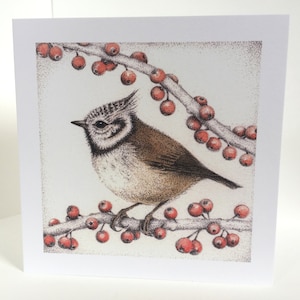 Carte mésange huppée, oiseaux britanniques, carte de voeux, carte pour elle, carte pour lui, anniversaire, Je pense à vous, vintage, original, dessin à la plume