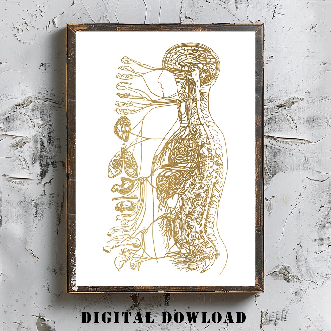 Autonomic Nervous System Watercolor Print Medical Art Medical Office ...