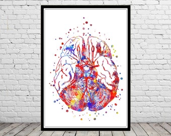 Circle Of willis watercolor print brain anatomy medical art medical office decor brain anatomy wall art