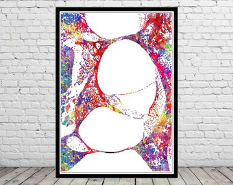 Inner ear histology watercolor print cochlea histology vestibular system structure audiology wall art clinic decor medical office decor