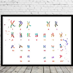Chromosome ideogram watercolor print genetics art Chromosome ideograph human chromosome wall art anatomy art personalized gifts