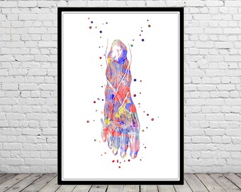 Foot nerves, foot, orthopedic art, foot anatomy, watercolor foot, human foot art,foot print, vinatge foot, orthopedic surgery nervous system