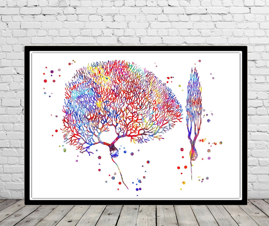 Purkinje Cells Watercolor Print Brain Cells Medical Art - Etsy
