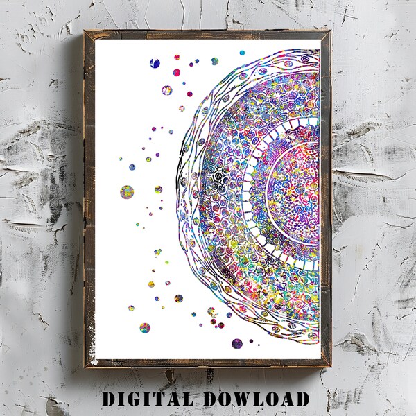 Cross Section of Human Hair Watercolor Print Digital Download Personalized Gifts for Doctor Science Anatomical Clinic Decor Medical Art