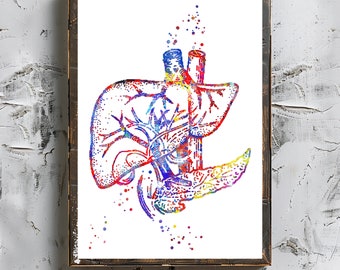 Liver Watercolor Print Medical Art Medical Office Decor Human Anatomy Art Digital Download Human Organs