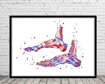 Foot bones, foot, orthopedic art, foot anatomy, watercolor foot, human foot art,foot print, vinatge foot, orthopedic surgery nervous system