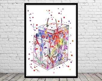 Skin layers epidermis anatomical watercolor from skin layers stratum wall hanging corneum art science art abstract print wall art