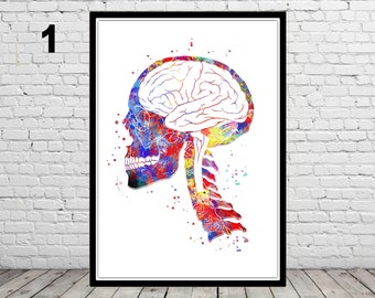 Skull and brain, skull print, brain print, watercolor skull, watercolor brain, anatomy art, Medical Office Decor, medical art, skull, brain