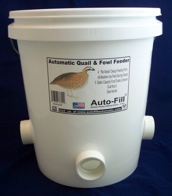 Quail Fowl All Weather Gravity Feeder 5 Gallon 4 Etsy
