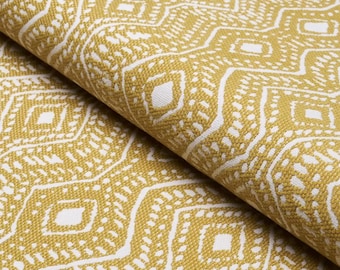 Schumacher Colma Indoor Outdoor  Fabric By The Yard 2 yd minimum