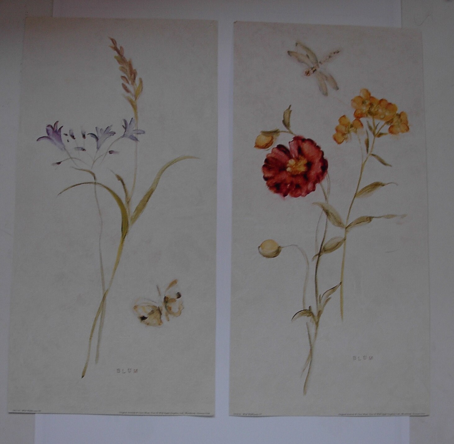 Cheri Blum Wild Flower Prints