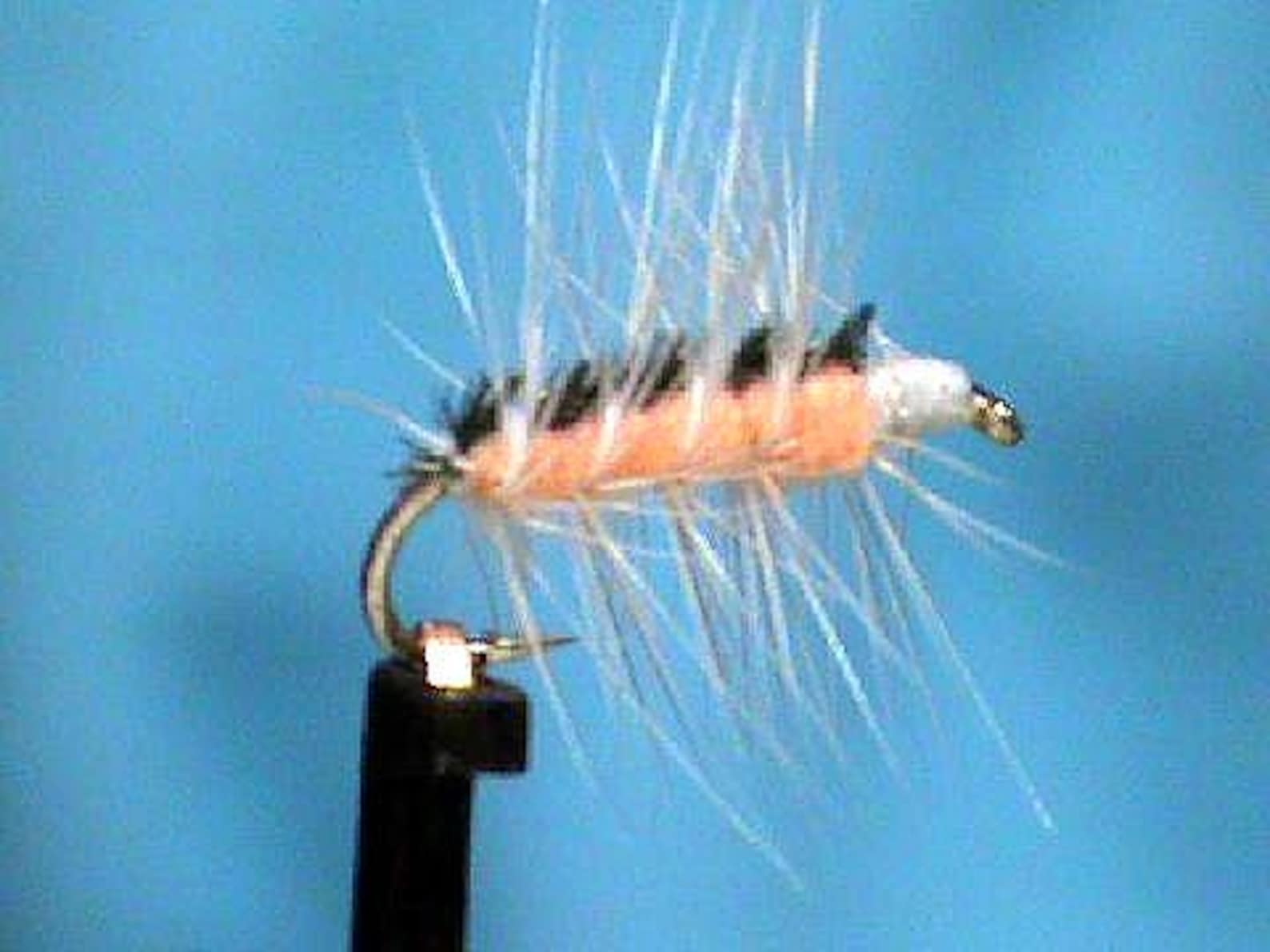 Sulfur Crackleback - Etsy
