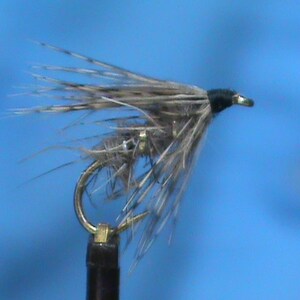 May include: A brown and gray fly fishing lure with a black head and a gold hook.