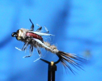 Hemingway Hare's Ear Prince