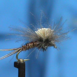 May include: A brown and white fly fishing lure with a white feather body and brown wings.