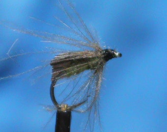 Quill Wing Caddis