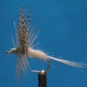 Peut inclure: Une mouche de pêche à la mouche blanche et brune avec une queue blanche et des ailes brunes.
