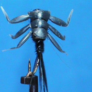 Può includere: Un'esca da pesca a mosca nera con sei zampe e una lunga coda. L'esca è montata su un amo ed è pronta per essere lanciata.