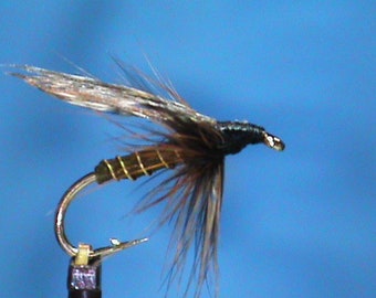 Sturgis Greenwells Glory