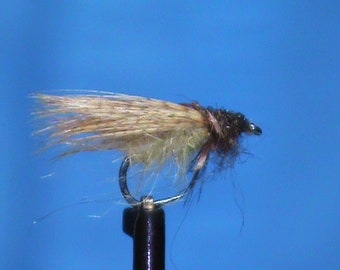 West Branch Caddis