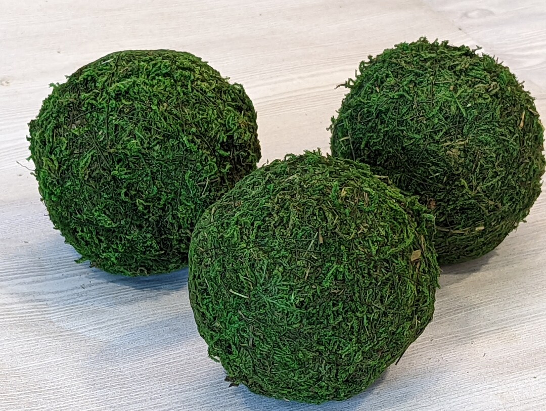 Green Moss Balls Bowl Filler Ornaments Decorative Table Vase