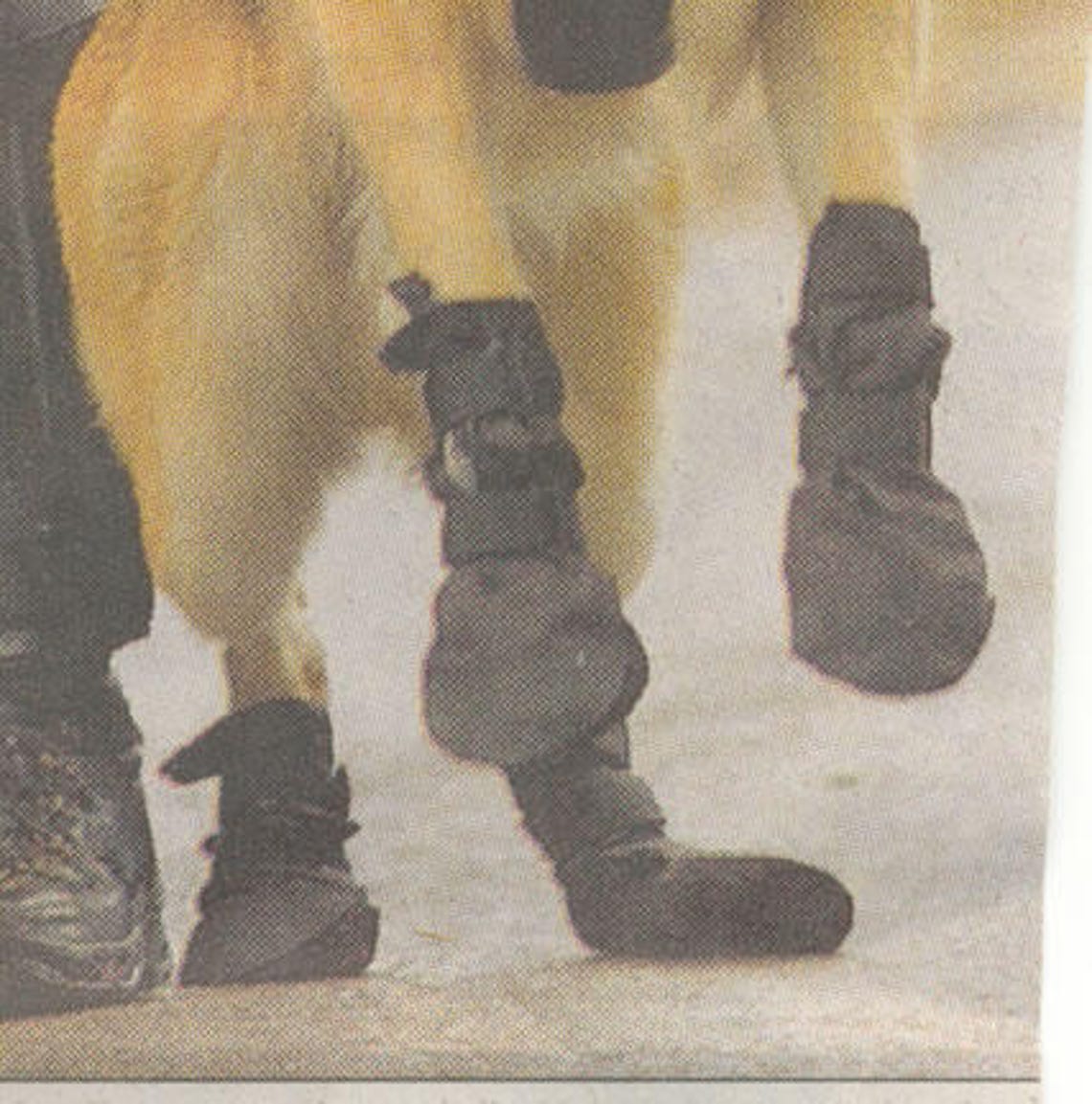 Dog Boots for Disabled Dogs Knuckling Paws or Missing Paws Etsy UK