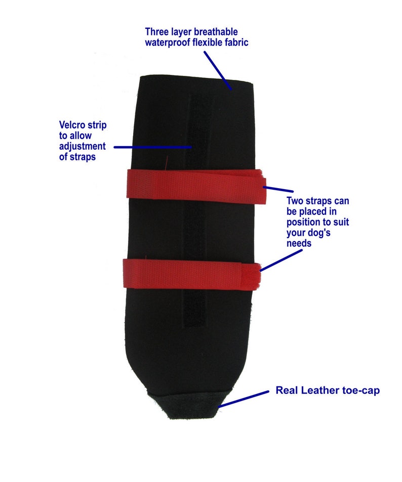 Dog Boots Protect From Stones Thorns Heat Cold Ice Ball Etsy