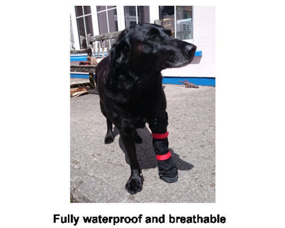 waterproof dog boots