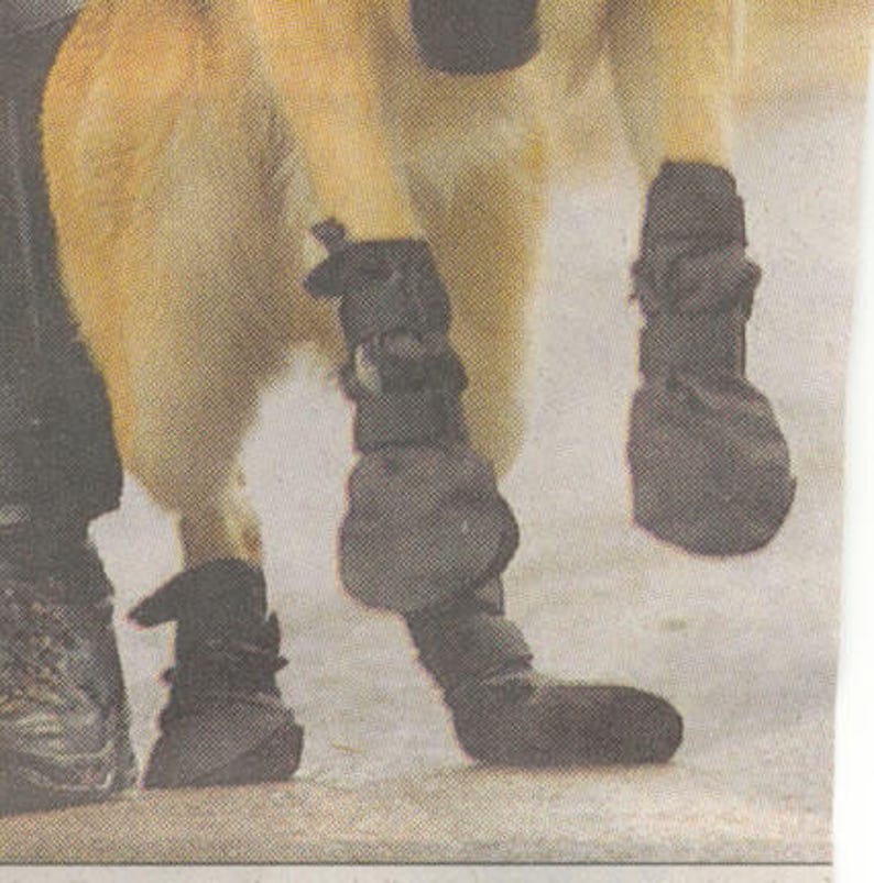 Dog Boots for CDRM Disabled Dogs Knuckling Paws or Missing Etsy