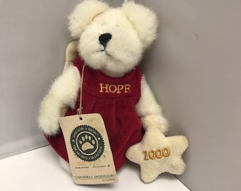 Ours en peluche Cassandra C Angelflight Hope 2000 Boyds Bears #83001