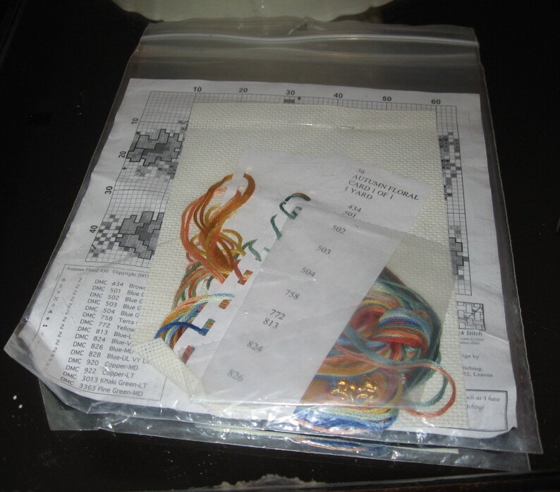 Sandi Phipps/' Mini Pictures to Treasure Counted Cross Stitch Kit Autumn Floral 4 x 3 Framable Image Complete Kit
