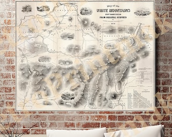 National Park and Forest