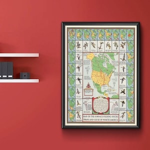 Landkarte der Enten, Schwäne und Gänse in Nordamerika. Vintage Home Deco Wand Reproduktion Landkarte Druck.
