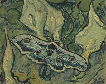 Grote Nachtpauwoog giant Peacock Moth by Vincent Van Gogh Fine Art Reprint. Etsy