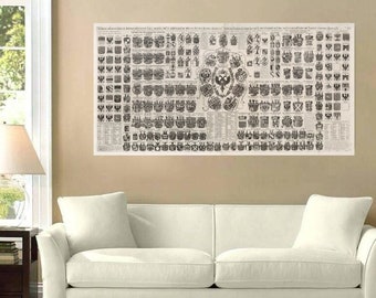 1700s Holy Roman Empire Heraldry Chart Reproduction Print, Vintage Armorial Coa Poster, Antique Imperial Eagle Wall Art
